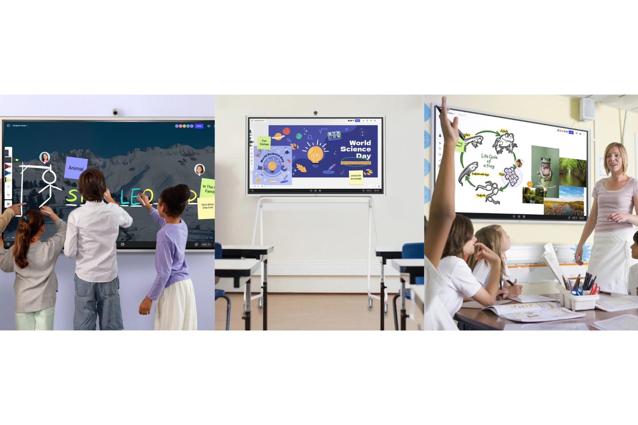 Interactive_Whiteboards_Displays_Collection_Teacher_and_Students_Lifestyle