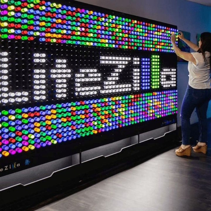 LiteZilla Giant Lite Brite - Landscape View Woman Active Playing