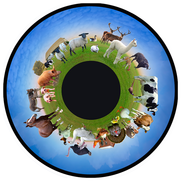 OPTIKinetics 6" Picture Effect Wheel Farm Animals