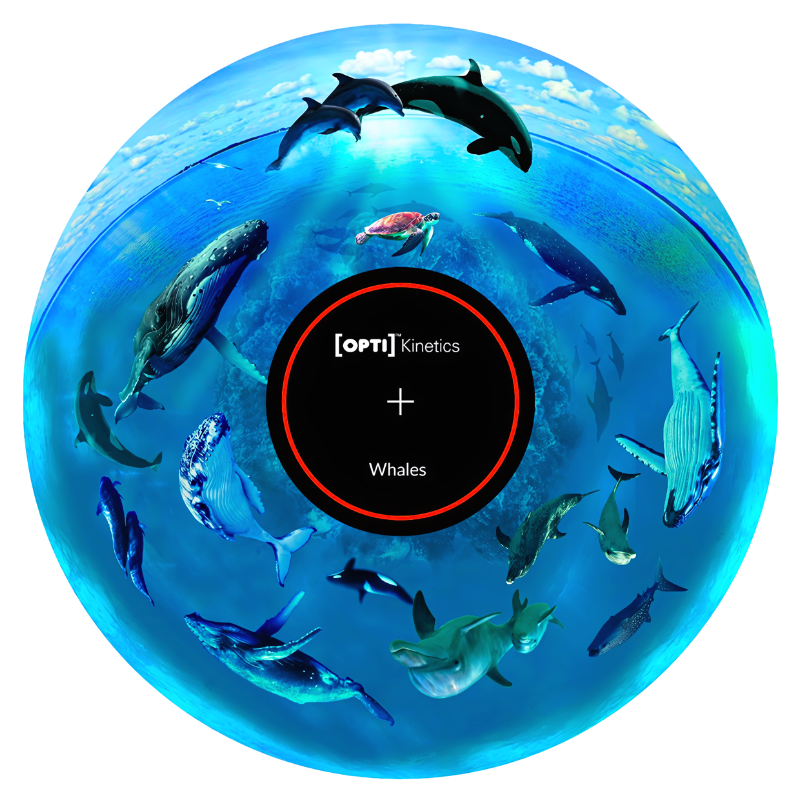 OPTIKinetics 6" Picture Effect Wheel Whales