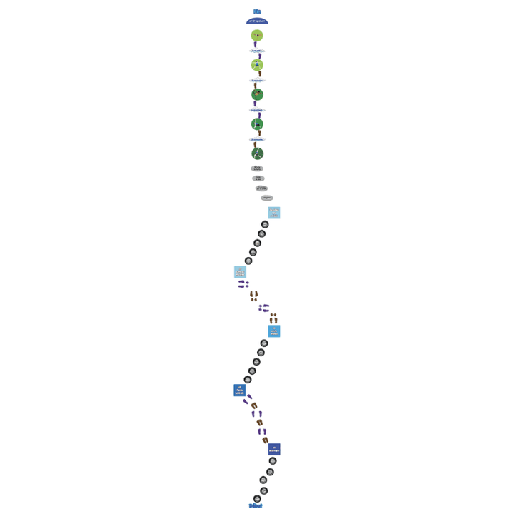 SensoryPathsDynamicMovementCircuit-FullPathFrench