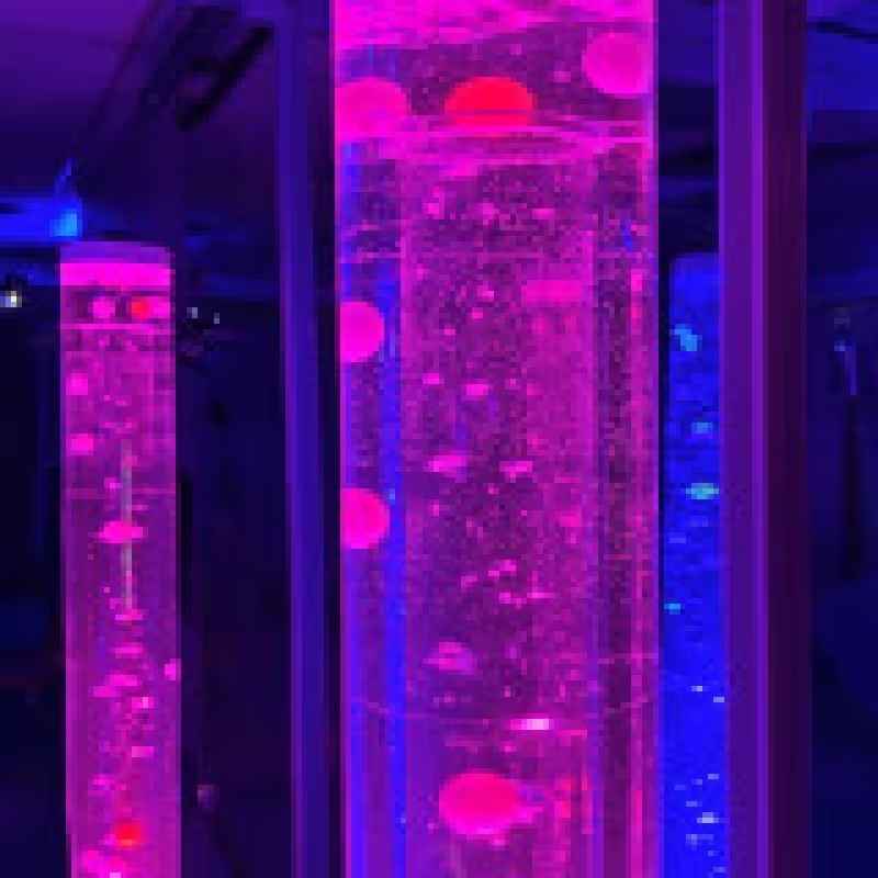 TFH ball and bead insert glowing pink and blue in an 80 inch bubble tube, creating calming visual sensory play