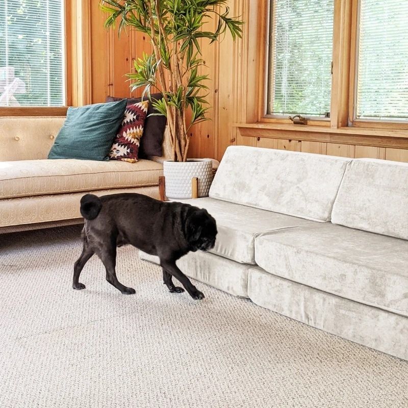 Go Coconut - The Coconut in Poppy Pop shown in an indoor home setting demonstrating the living room and playroom versatility of the 60x30x20in modular Canadian-made CertiPUR foam play couch