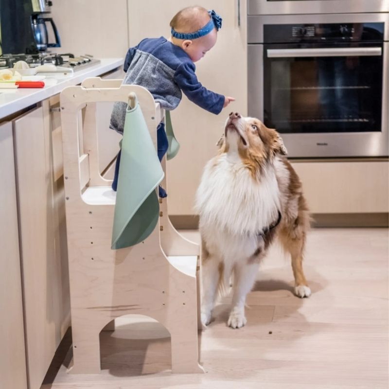 Baby safely standing in the Sapiens Child Kiwi Kitchen Tower with a family dog nearby, showing the enclosed safety rails and stable non-balancing construction of the adjustable toddler learning stool