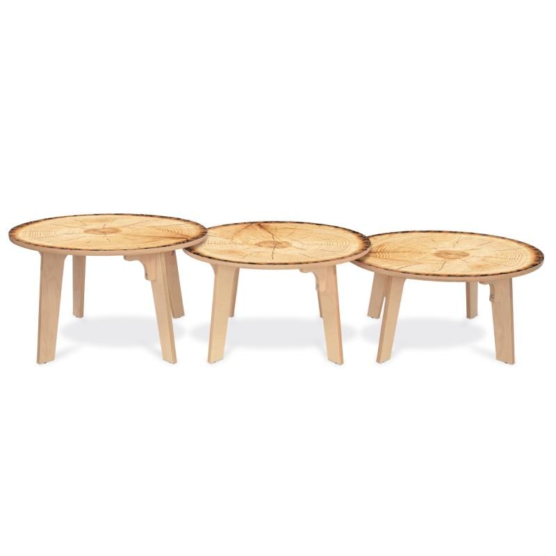 Three Whitney Brothers Nature View Live Edge Round Tables side by side in 18, 20 and 22 inch heights, biophilic classroom tables for every age group