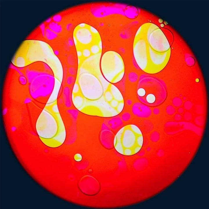 OPTIKinetics 6 inch Liquid Effect Wheel Roses Delight showing the hand-made glass oil projection effect for use with Solar 100 LED and Solar 250 LED sensory projectors