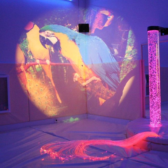 OPTIKinetics Solar 250 LED projector displaying a parrot picture effect wheel projection, showing the vivid colour accuracy of the 40W LED module in a multi-sensory room setting