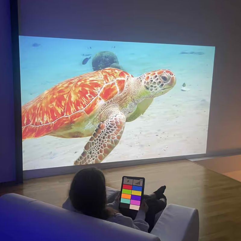 TFH ChromaTheme sensory video system projecting an underwater turtle scene while a user relaxes with the MSE Genie app