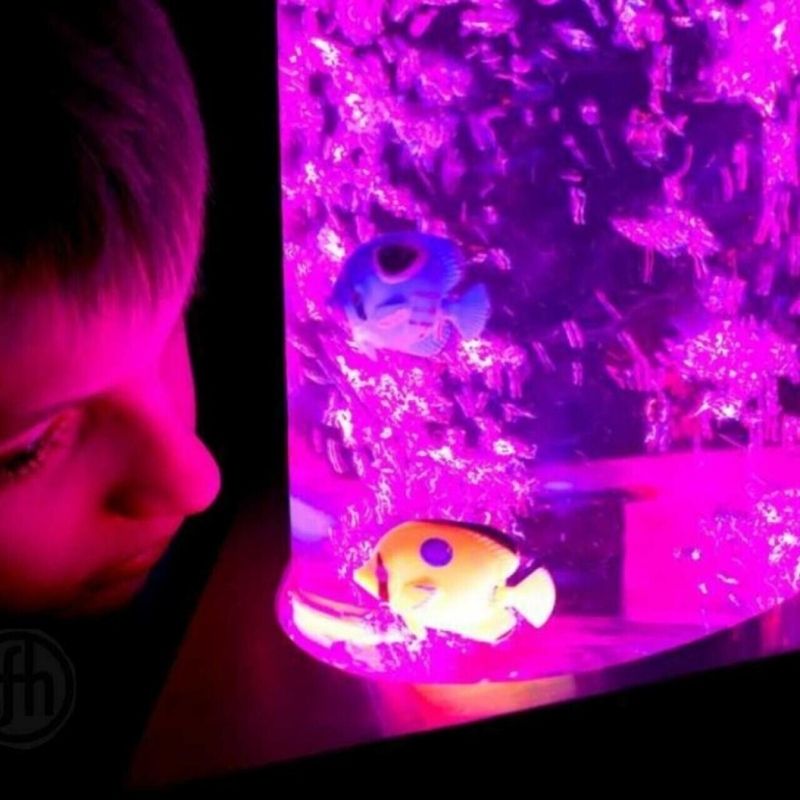 TFH Sensory Room Magic Genie System Starter close-up of children actively playing in the interactive multi-sensory room, demonstrating the engaging sensory environment created by the MSE Genie starter kit