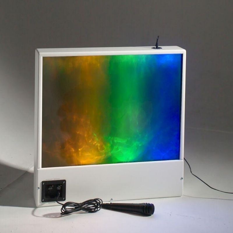 TFH Sound to Light Interactive Panel portrait view showing the full LED display face, a sound-responsive sensory room panel for therapy and communication development