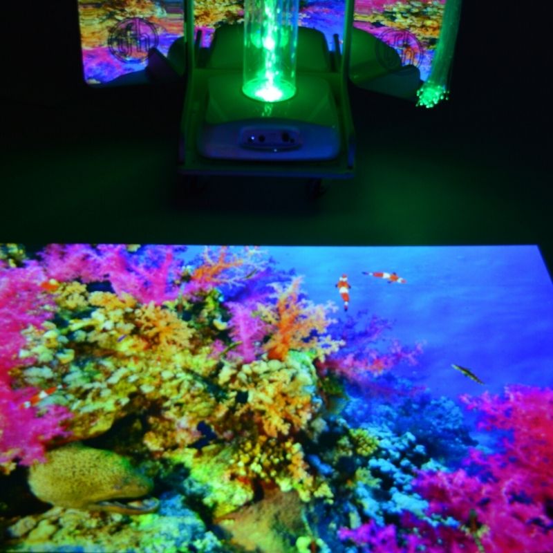 TFH Vecta Budii mobile sensory station with Omi Budii projector casting interactive content onto the floor for gesture-controlled sensory engagement