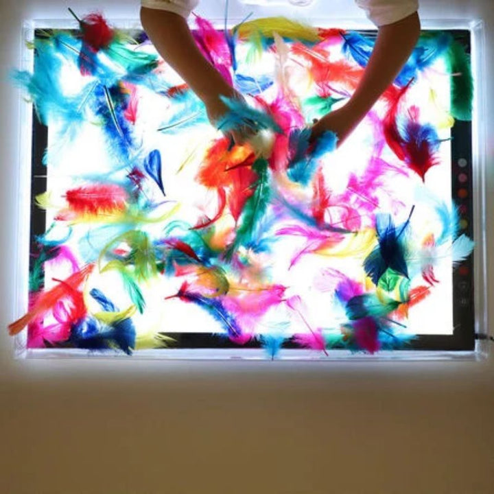 Top view of hands exploring colourful feathers on the TTS Colour Changing Light Panel, showing how light reveals colour and texture during sensory play
