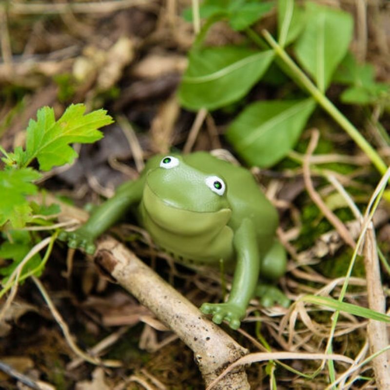 TTS Recordable Talking Frog in an outdoor setting, illustrating its durability for outside phonics and communication games
