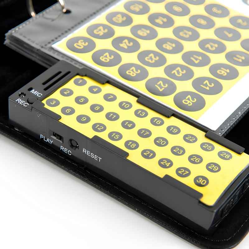 Close-up of the TTS Talking Photo Album 30-button recordable unit showing numbered buttons, MIC port, and PLAY, REC and RESET controls, plus the reusable page number sticker sheet included with the album